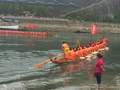 沿河乌江端午赛龙舟